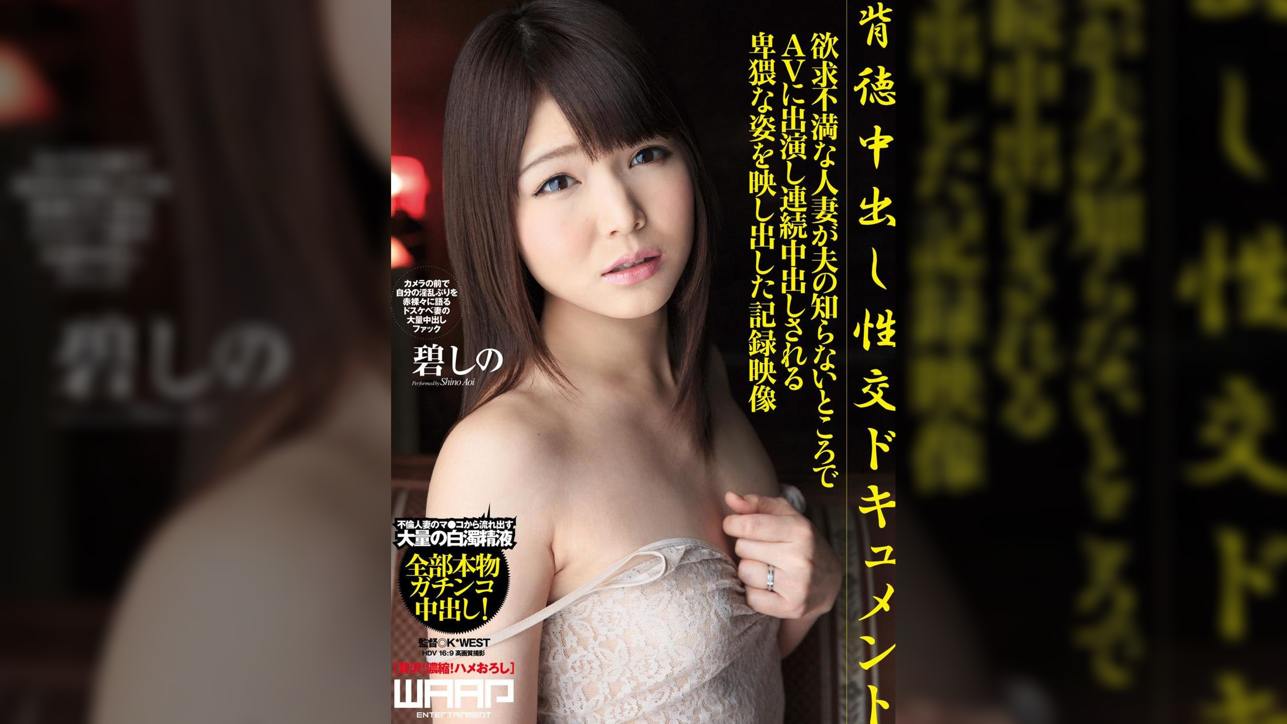 背徳中出し性交ドキュメント　碧しの