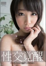 性交覚醒 春原未来