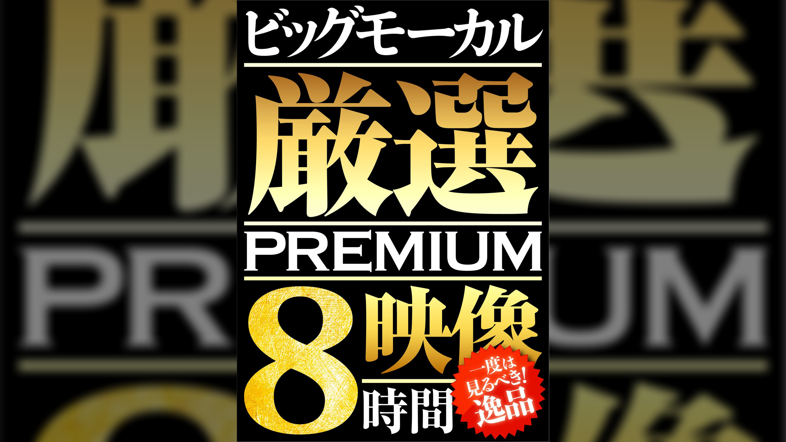 ビッグモーカル厳選PREMIUM映像８時間０２