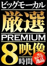 ビッグモーカル厳選PREMIUM映像８時間０２