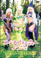 エルフの住む森へようこそ！