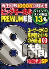 ビッグモーカル厳選PREMIUM映像８時間０３