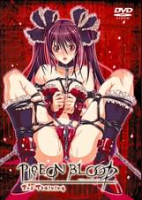 PIGEON BLOOD 2nd Training