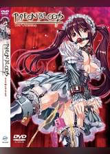 PIGEON BLOOD 1st Training