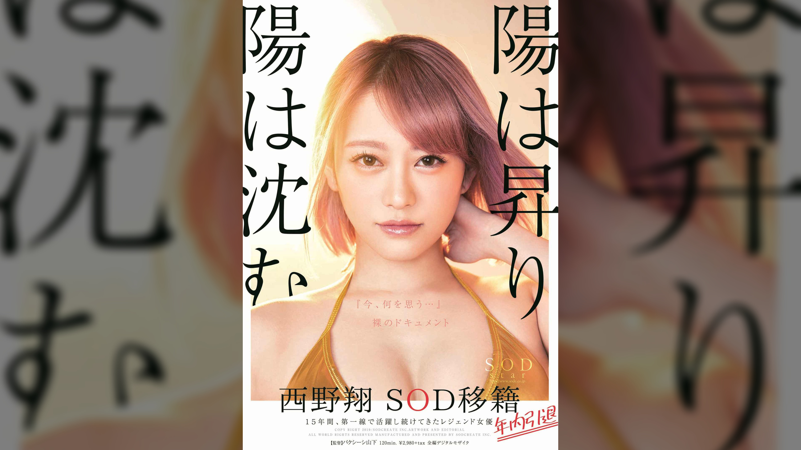 陽は昇り陽は沈む　西野翔　SOD移籍　年内引退　１５年間、第一線で活躍し続けてきたレジェンド女優　『今、何を思う･･･』裸のドキュメント