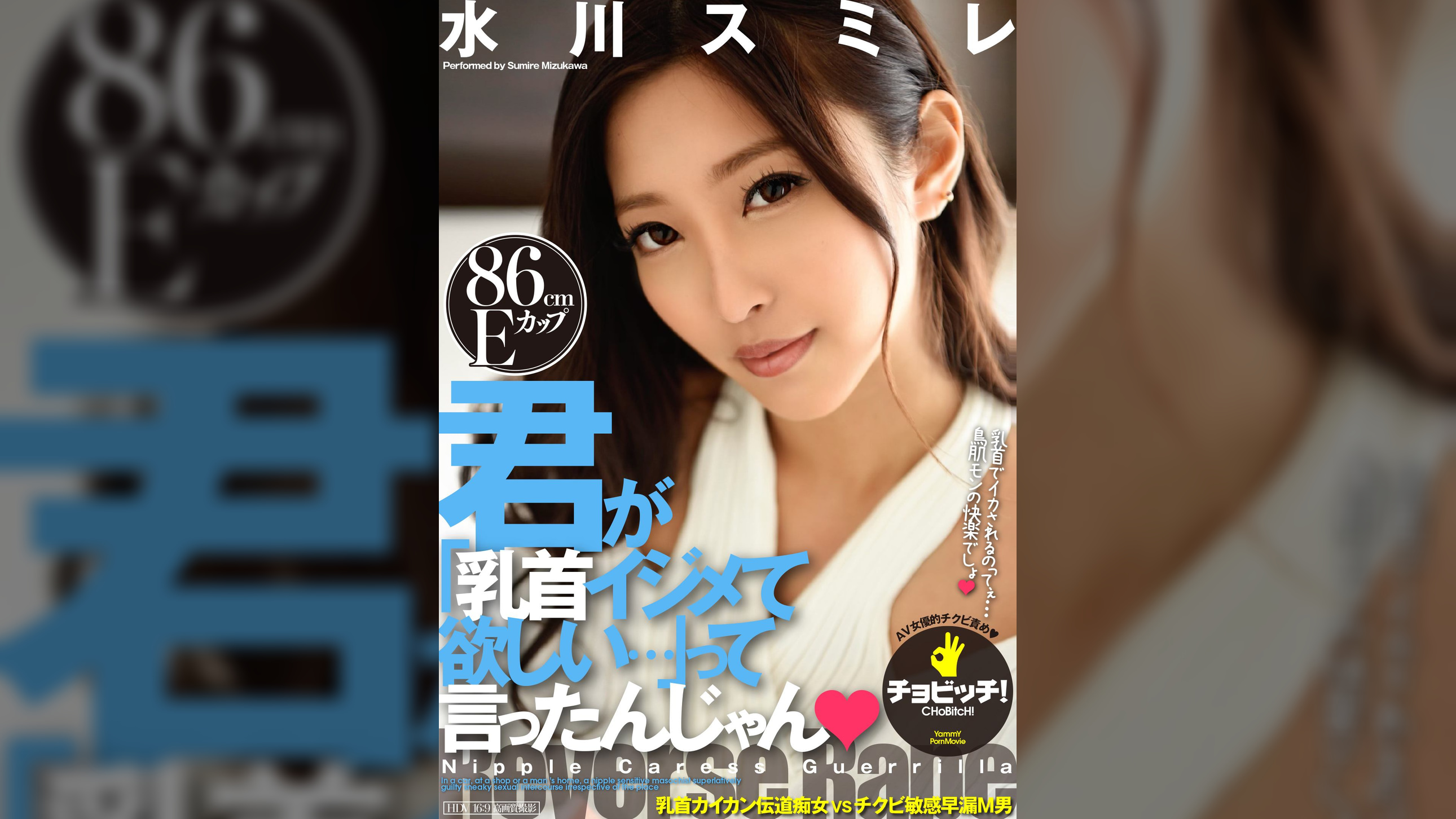 君が「乳首イジメて欲しい…」って言ったんじゃん 水川スミレ