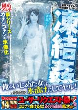 妄想アイテム究極進化シリーズ 凍結●