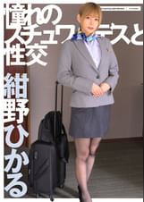 憧れのスチュワーデスと性交　紺野ひかる