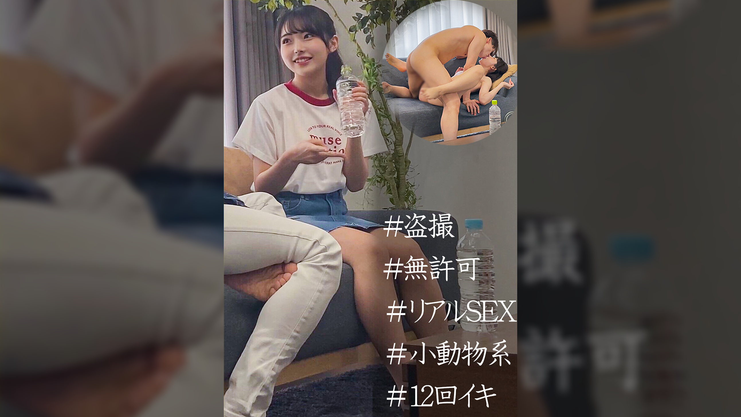 ひかる