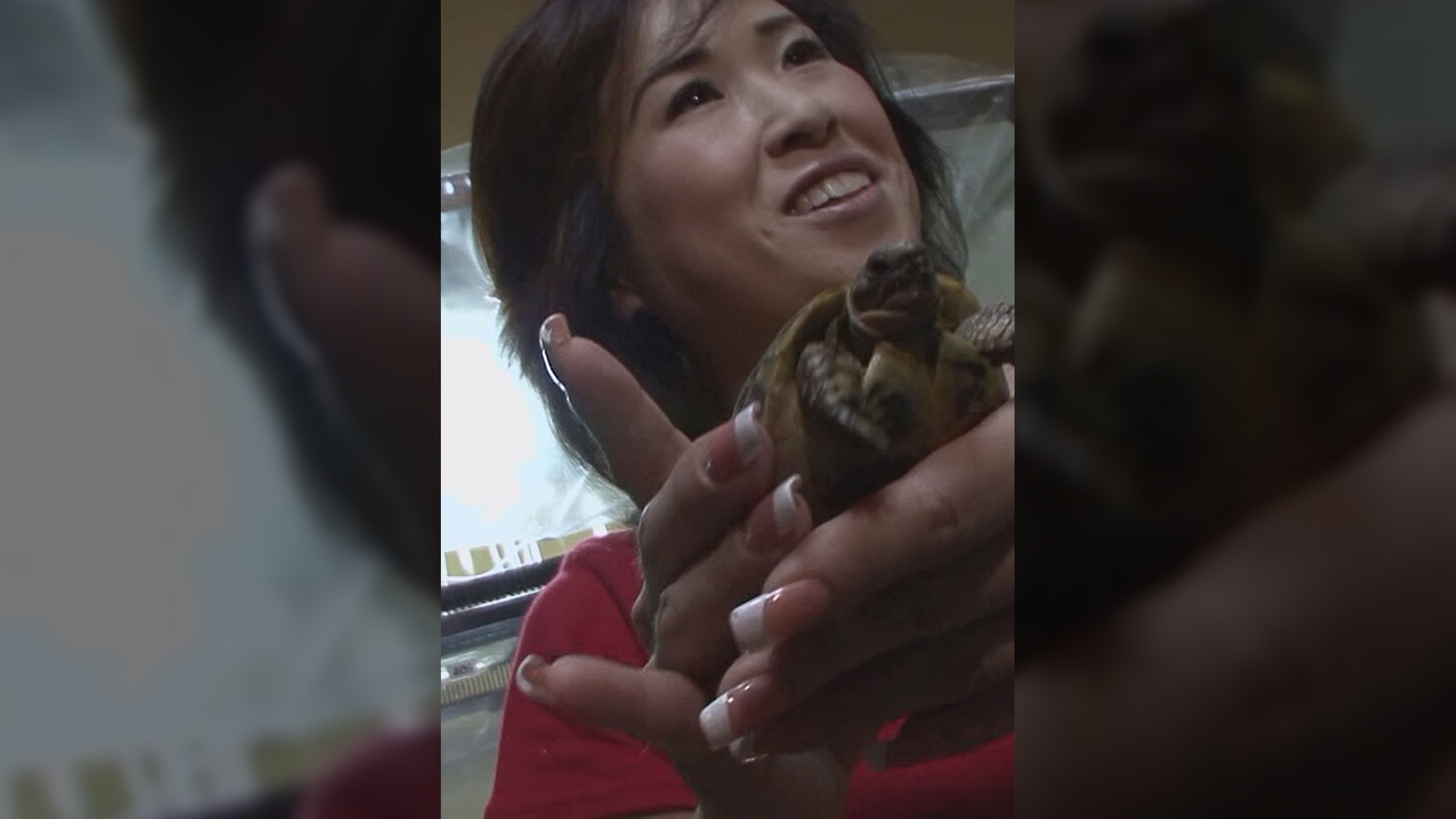 爬虫類好き、おっかさん！蛇に乳首を噛ませる特技発動！ジュリアナ時代を彷彿とさせるスパンコールの下着をまとい男優の股間を熱くさせる！