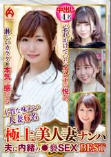 極上美人妻ナンパ 夫に内緒の●褻SEX Best13 6名