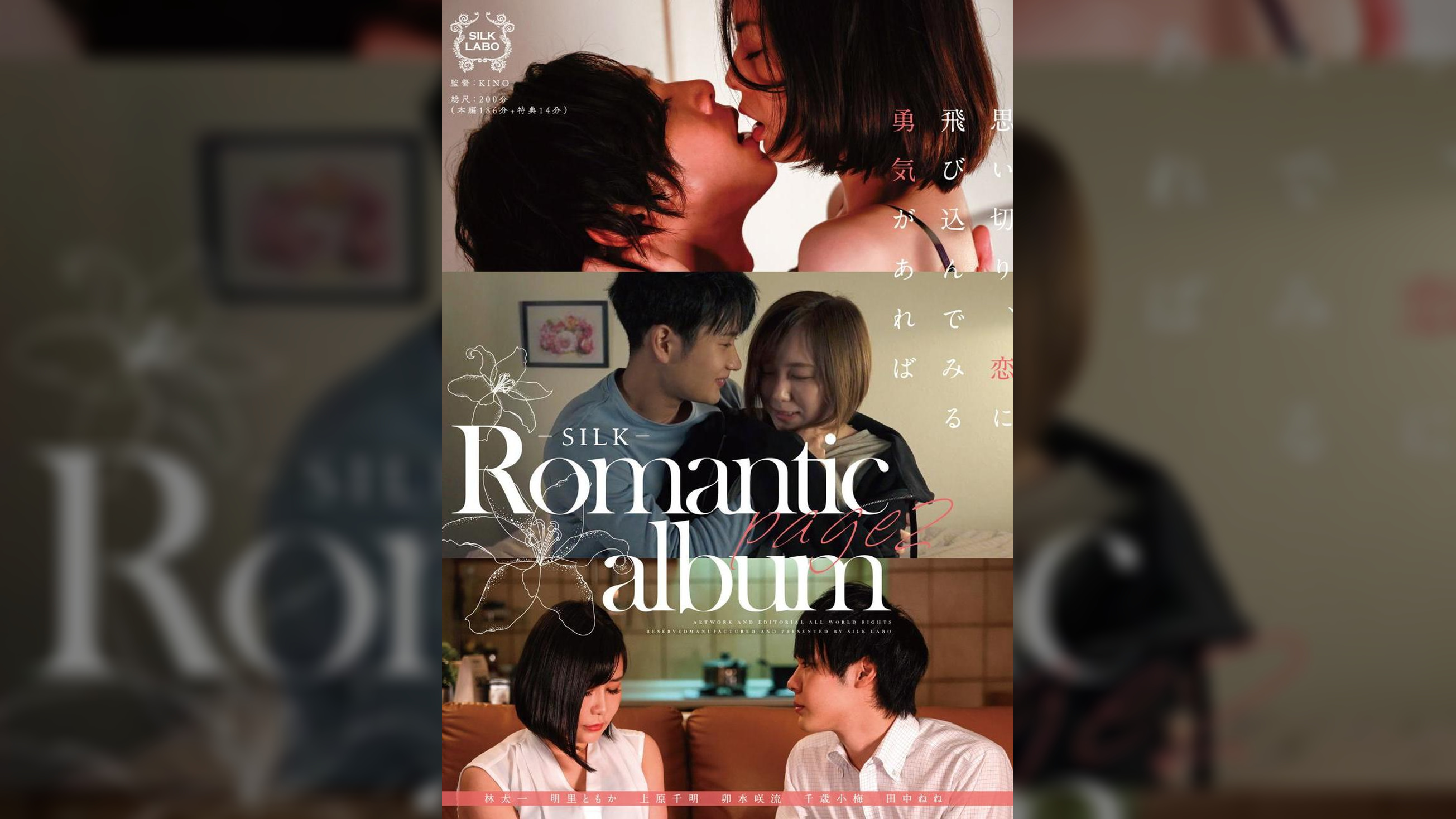 Romantic album page2