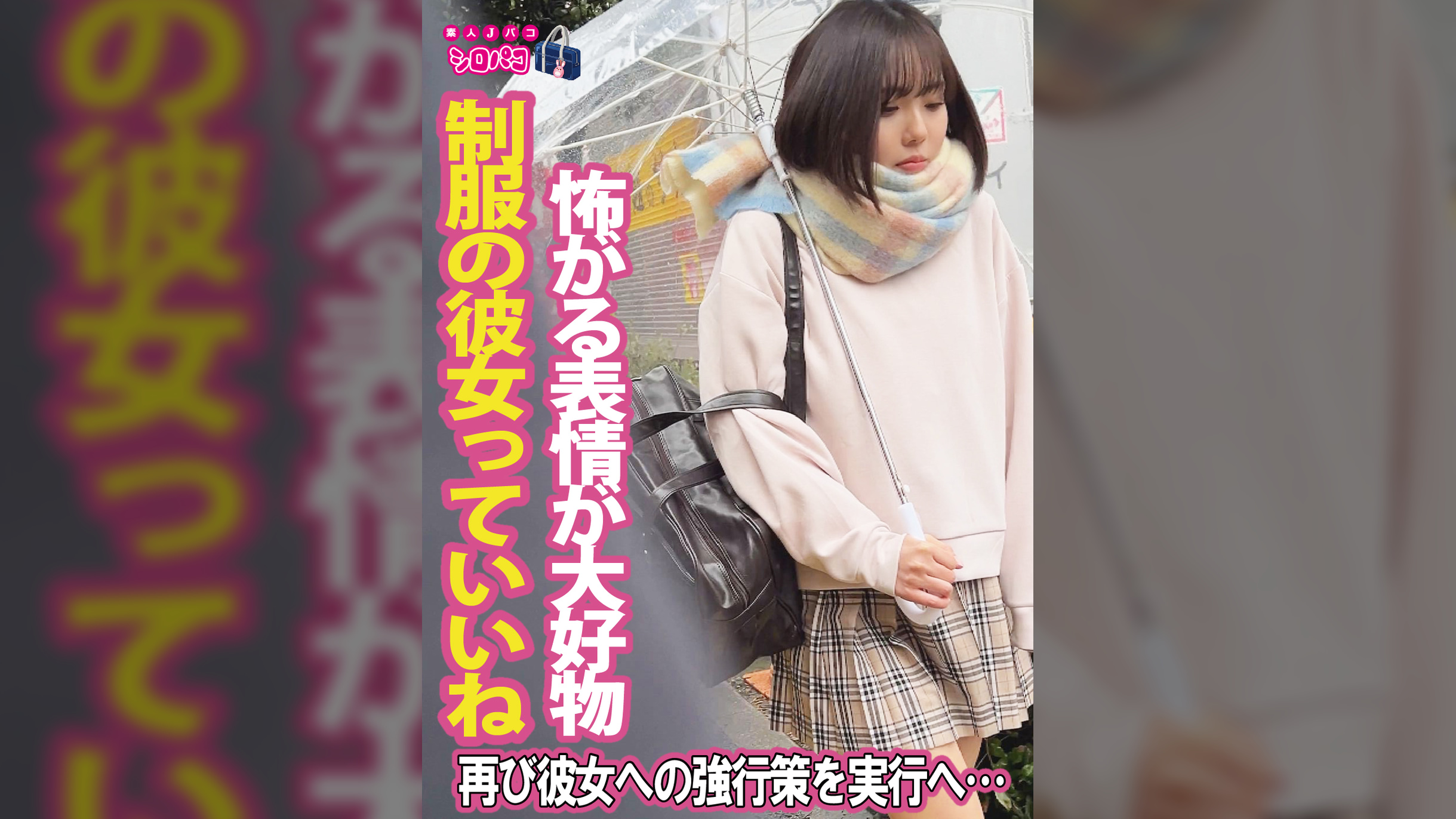 再び彼女への強行策を実行へ…