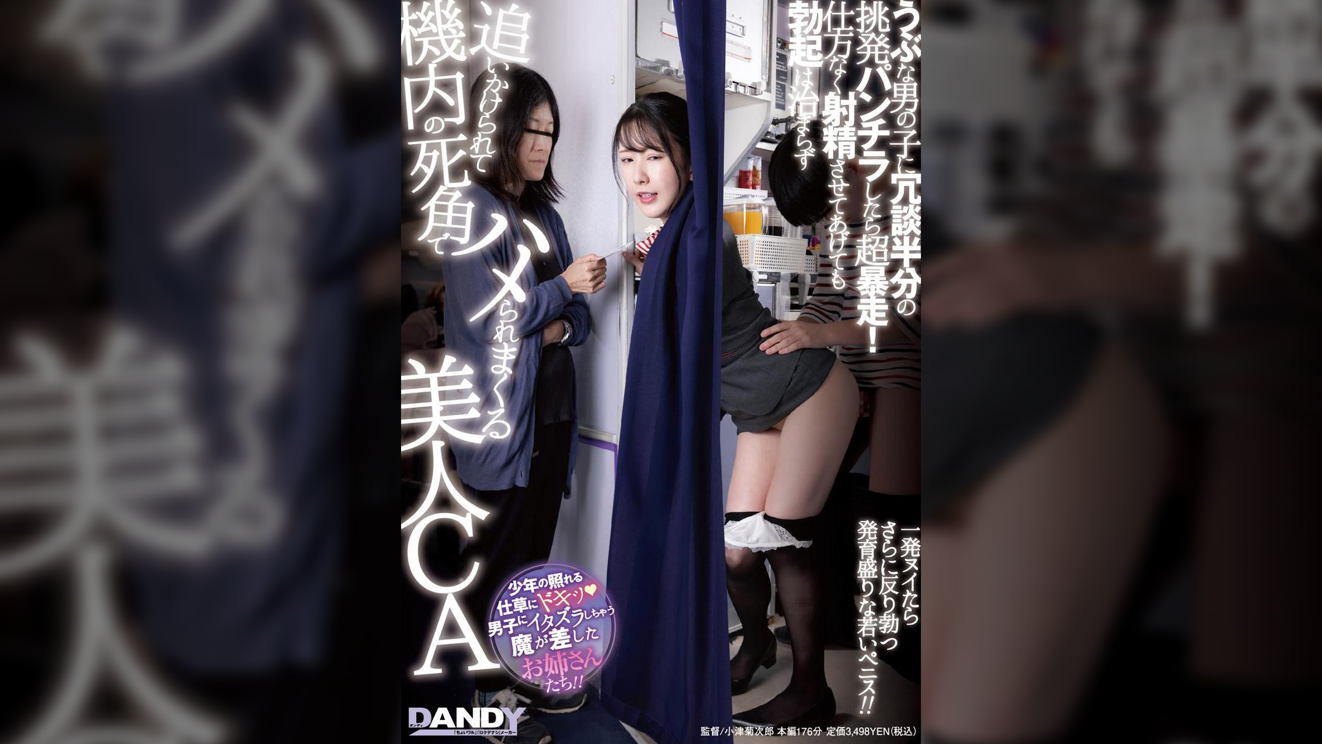 うぶな男の子に冗談半分の挑発パンチラしたら超暴走!　仕方なく射精させてあげても勃起は治まらず追いかけられて機内の死角でハメられまくる美人CA