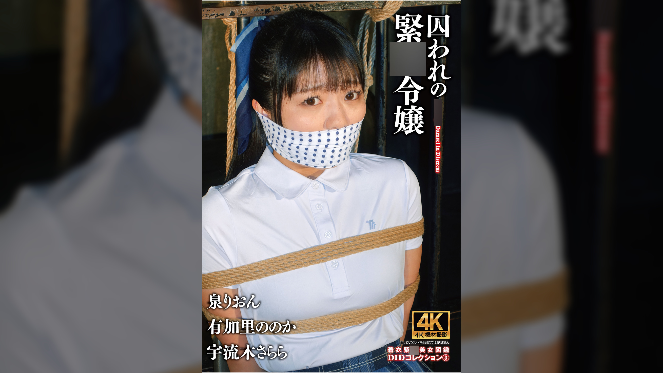 囚われの緊●令嬢 DIDコレクション3