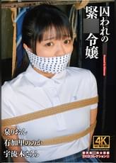 囚われの緊●令嬢 DIDコレクション3