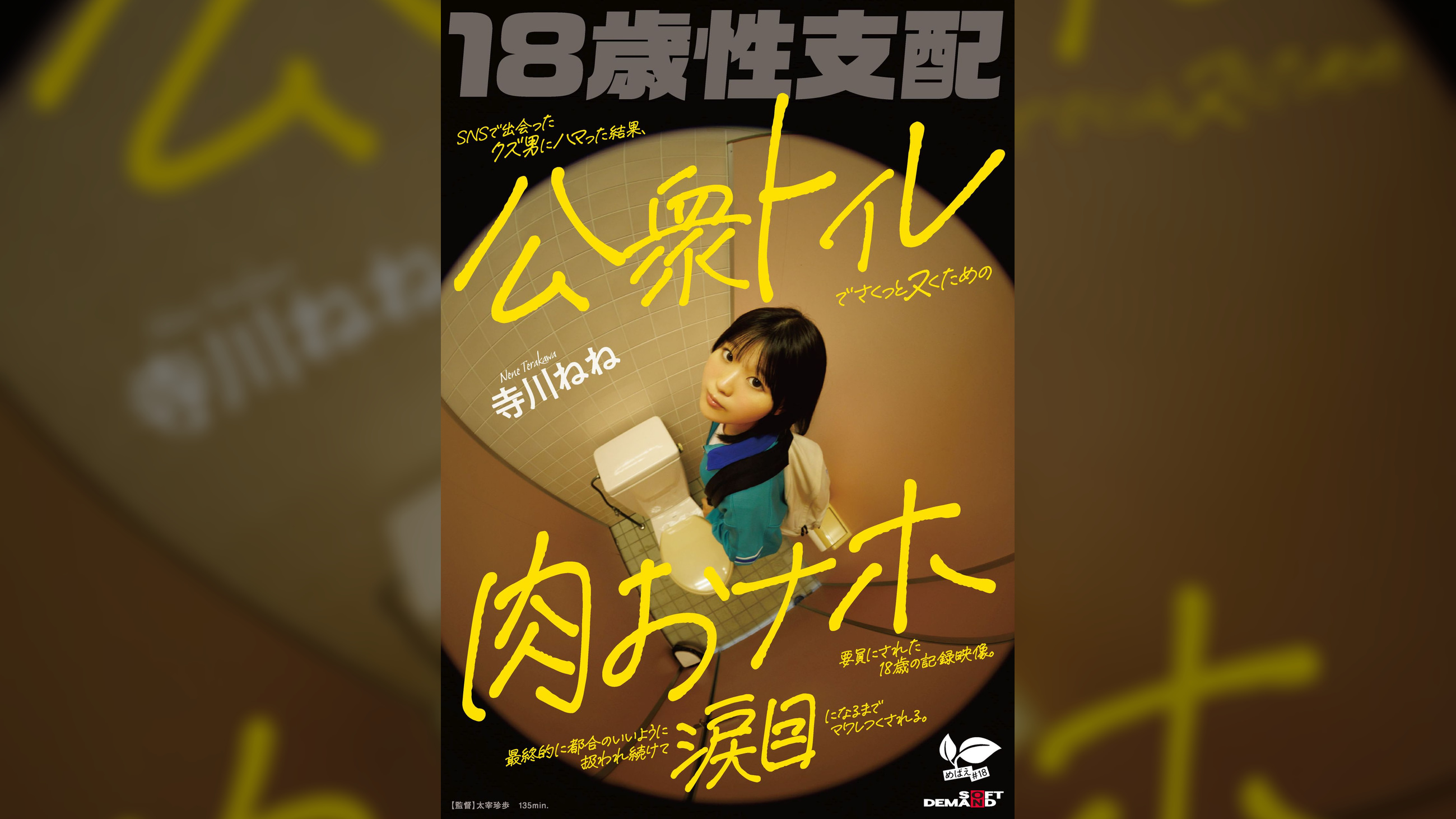 SNSで出会ったクズ男にハマった結果、公衆トイレでさくっとヌくための肉おナホ要員にされた18歳の記録映像。最終的に都合のいいように扱われ続けて涙目になるまでマワしつくされる。 寺川ねね